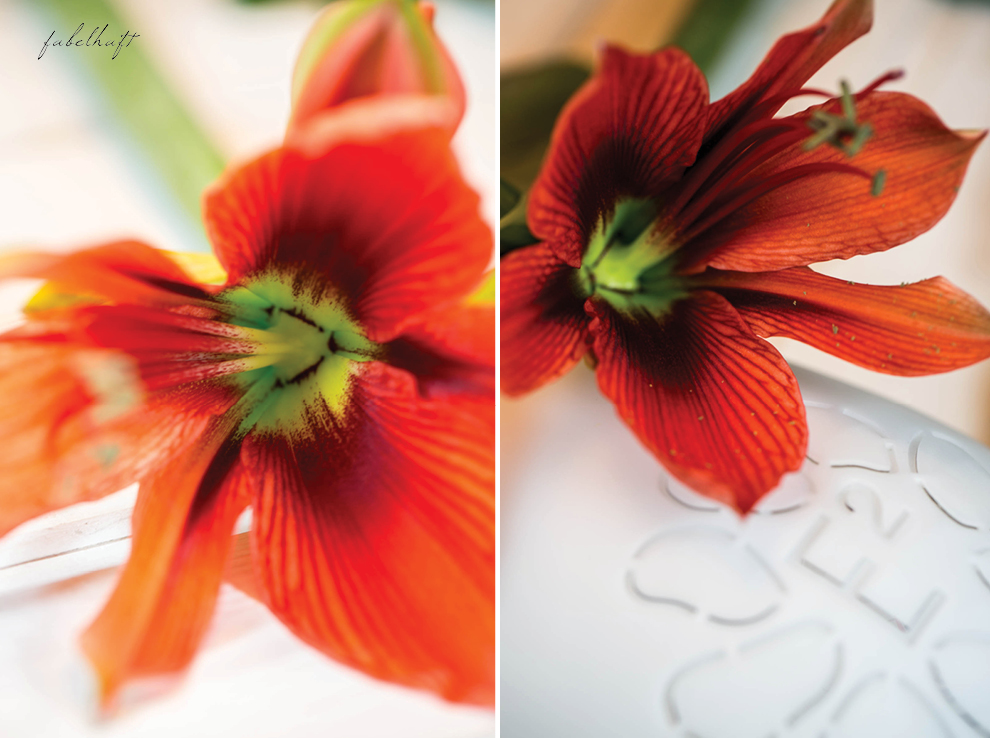 IRIS Duft Diffuser E2 Detox Weihnachten Geschenk Christmas
