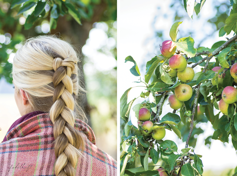 Bauernzopf Flechten Blazer Tweed Karo Schottenkaro Apfelbäume Herbst 2015