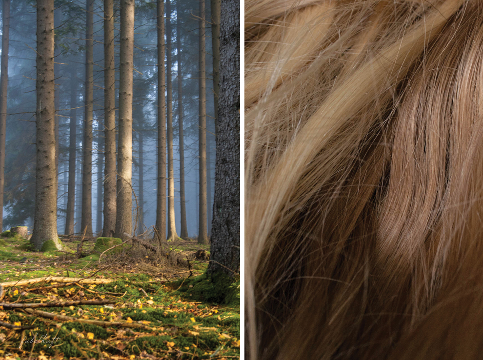 Haare Blond Wald Natur Shampoo Love me Green Eco Cert