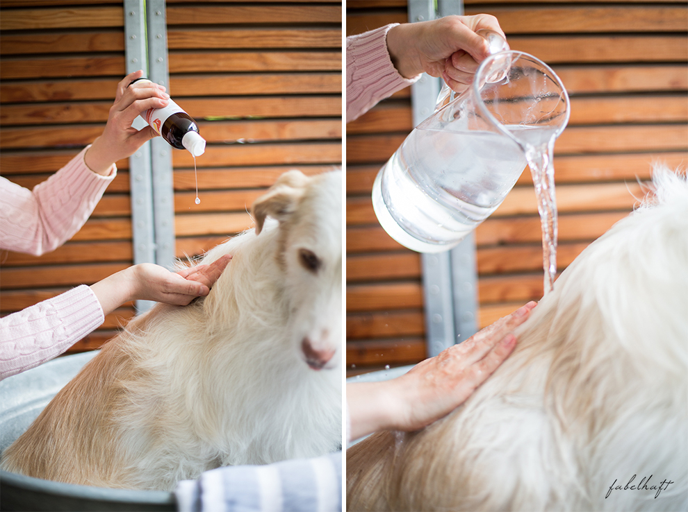Hund und Herrrchen Naturkosmetik für Hunde Hundeshampoo Goldspatz Hund baden Zinkwanne (2)