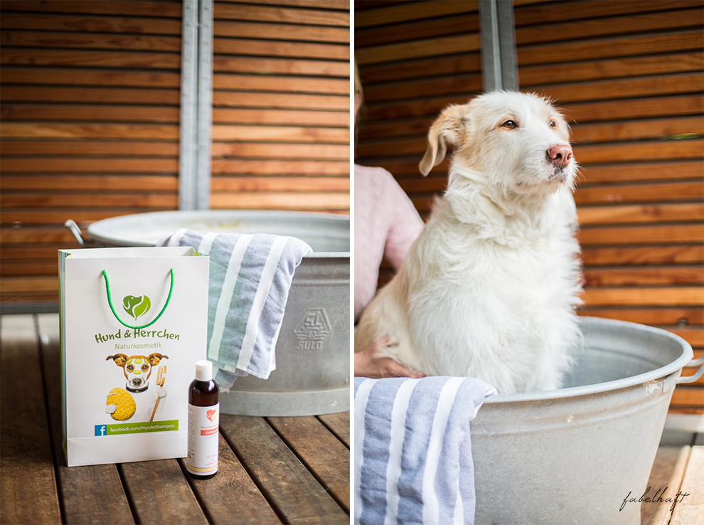 Hund und Herrrchen Naturkosmetik für Hunde Hundeshampoo Goldspatz Hund baden Zinkwanne