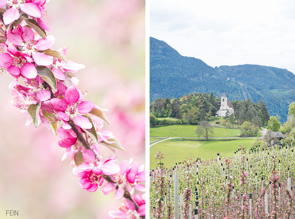 Sommerdrink Ritten Südtirol