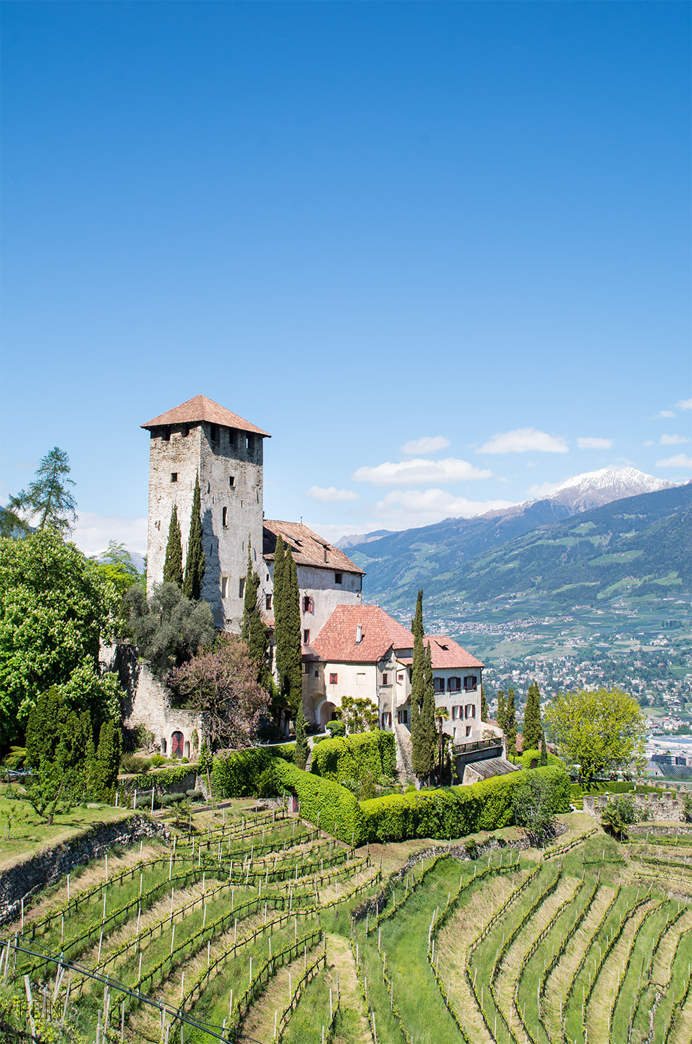 Sommerdrink Südtirol Lebenburg
