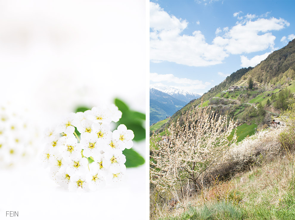 Sommerdrink Südtirol Natur Berge