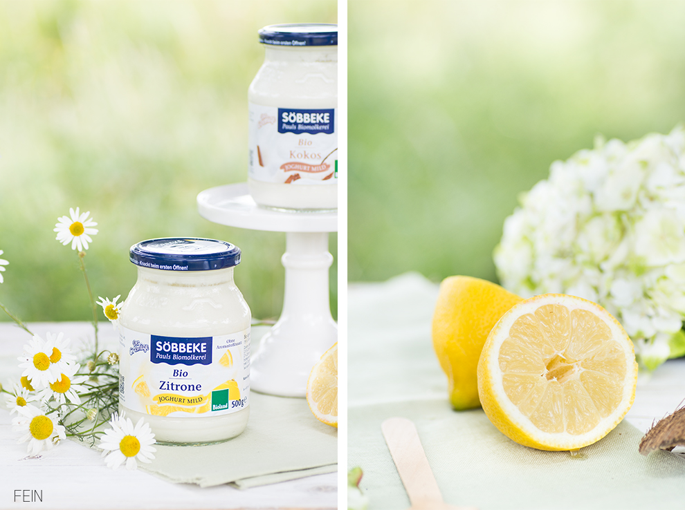 Joghurt Sommer Söbbeke Bio Zitrone Kokos