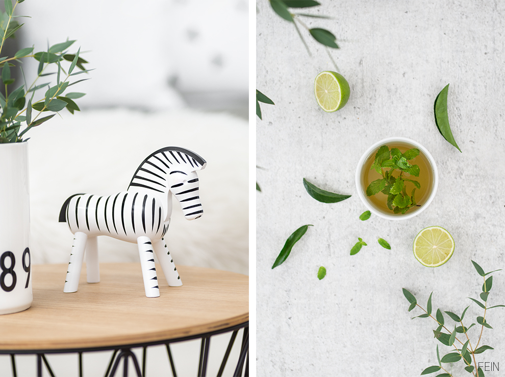 duft-winter-minze-erkaeltungshugo-winterhugo