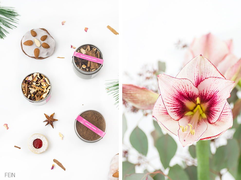 weihnachten-gewuerze-zauber-der-gewuerze