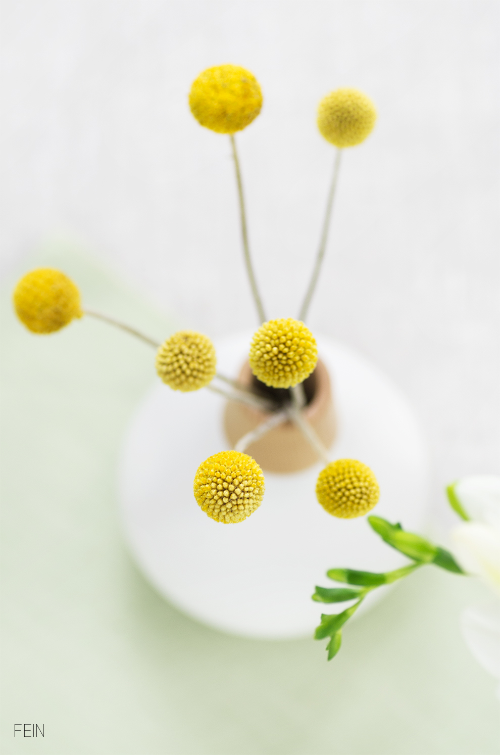 Blumen trommelstöckchen