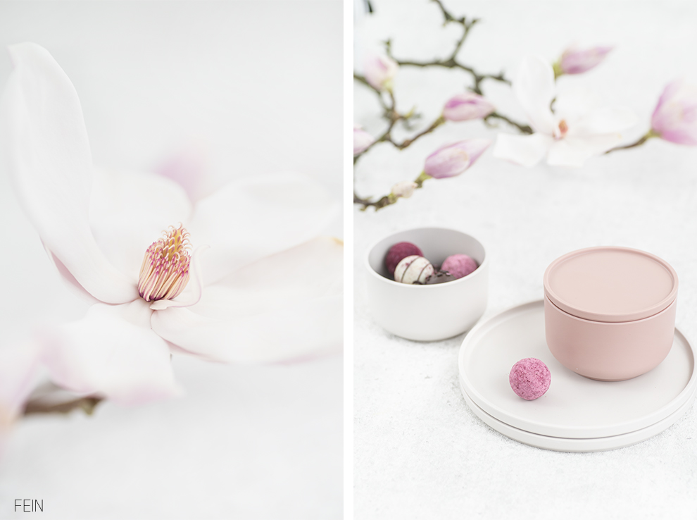 Frühling Magnolien Zone Denmark