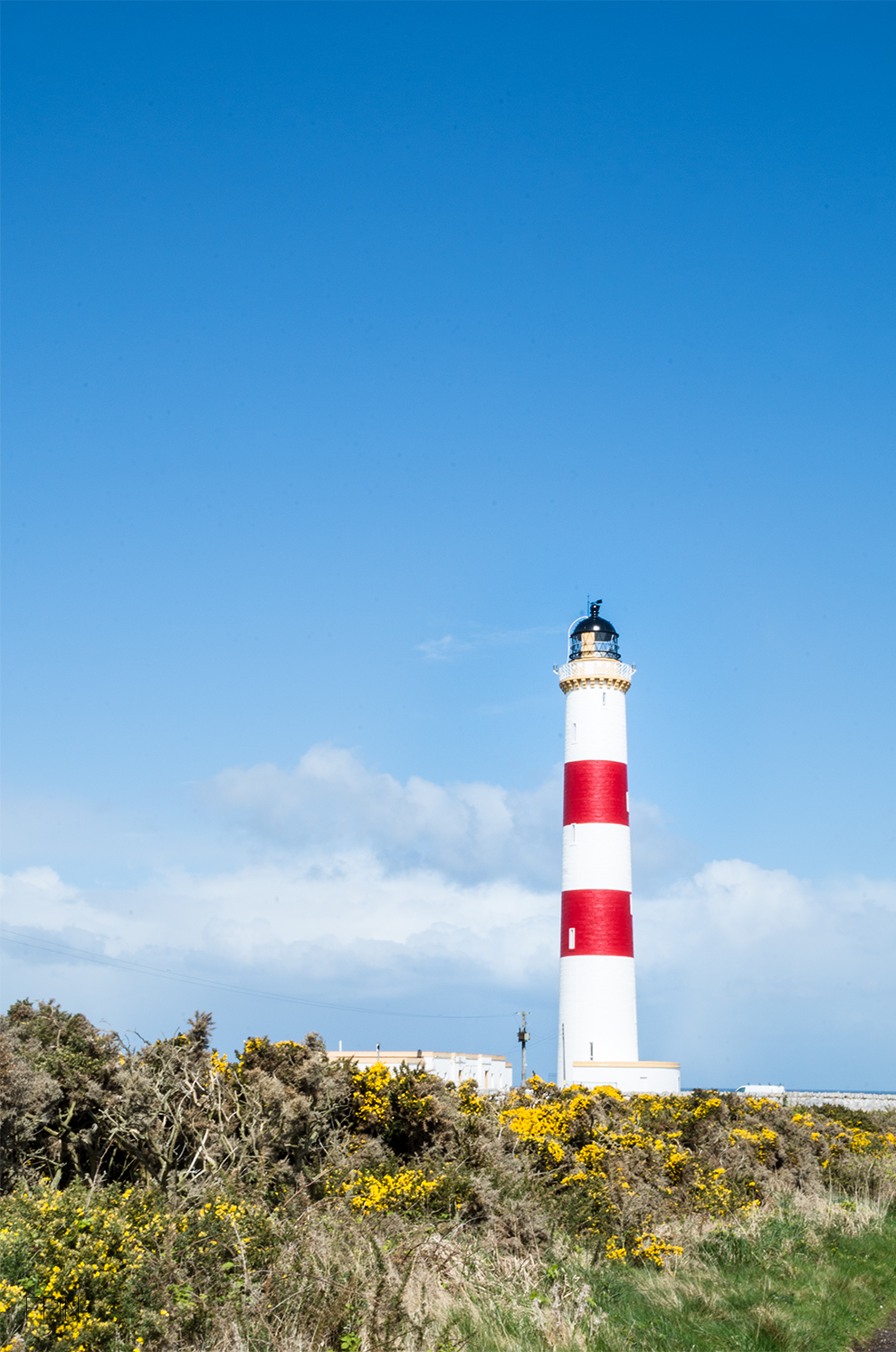 Schottland Küste Leuchturm