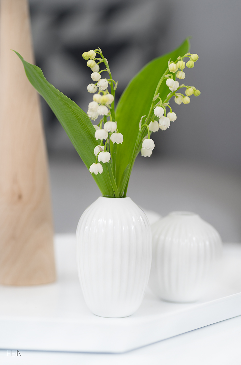 Zuhause Maiglöckchen