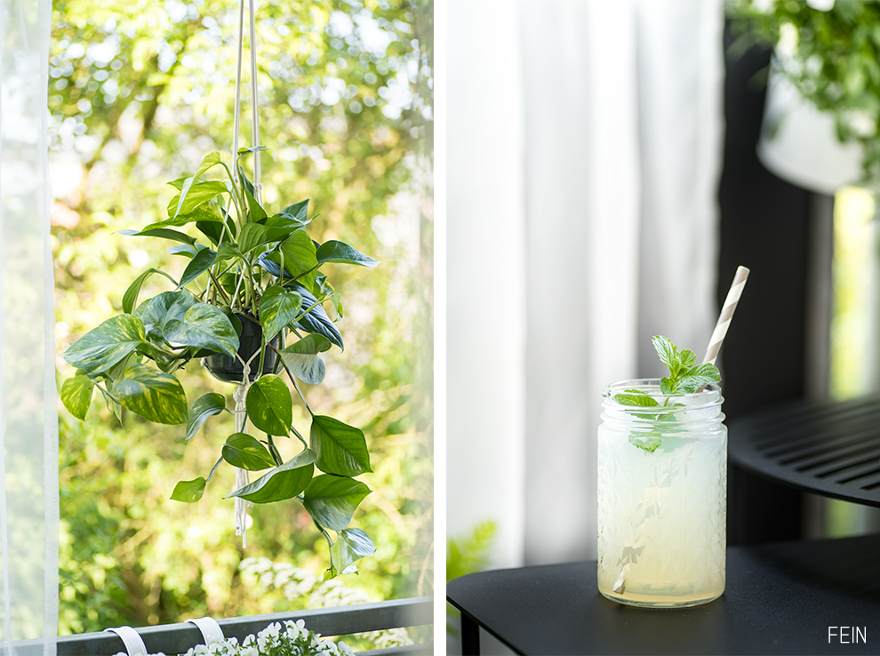 Balkon Grüne Oase Outdoor Sommer