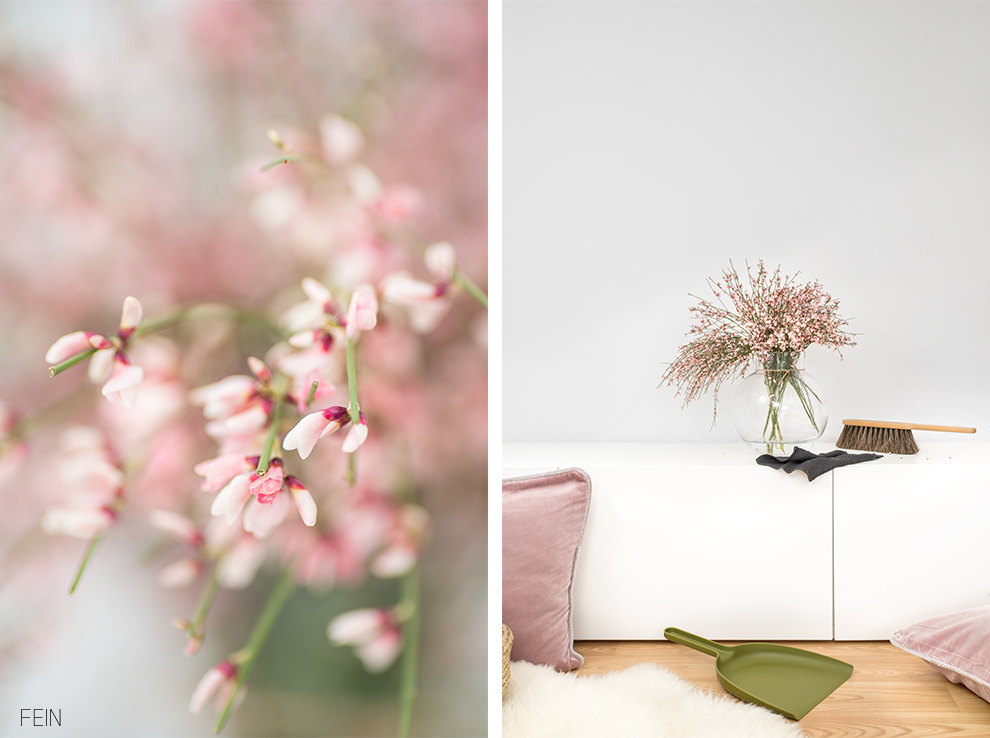 Scandi Stil Frühblüher