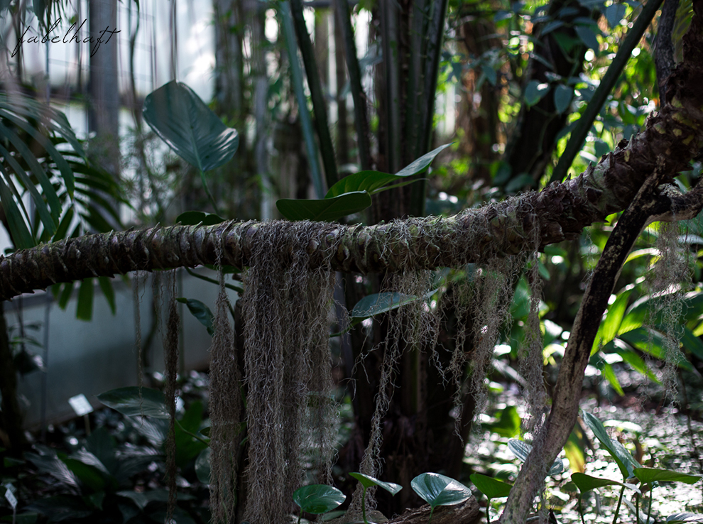 Jungle Trend Samt Bestickt Kleid Grün Tropisch Regenwald botanischer Garten 10