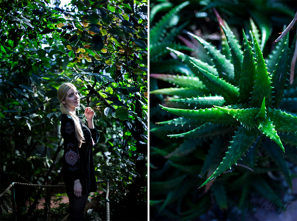 Jungle Trend Samt Bestickt Kleid Grün Tropisch Regenwald botanischer Garten 5