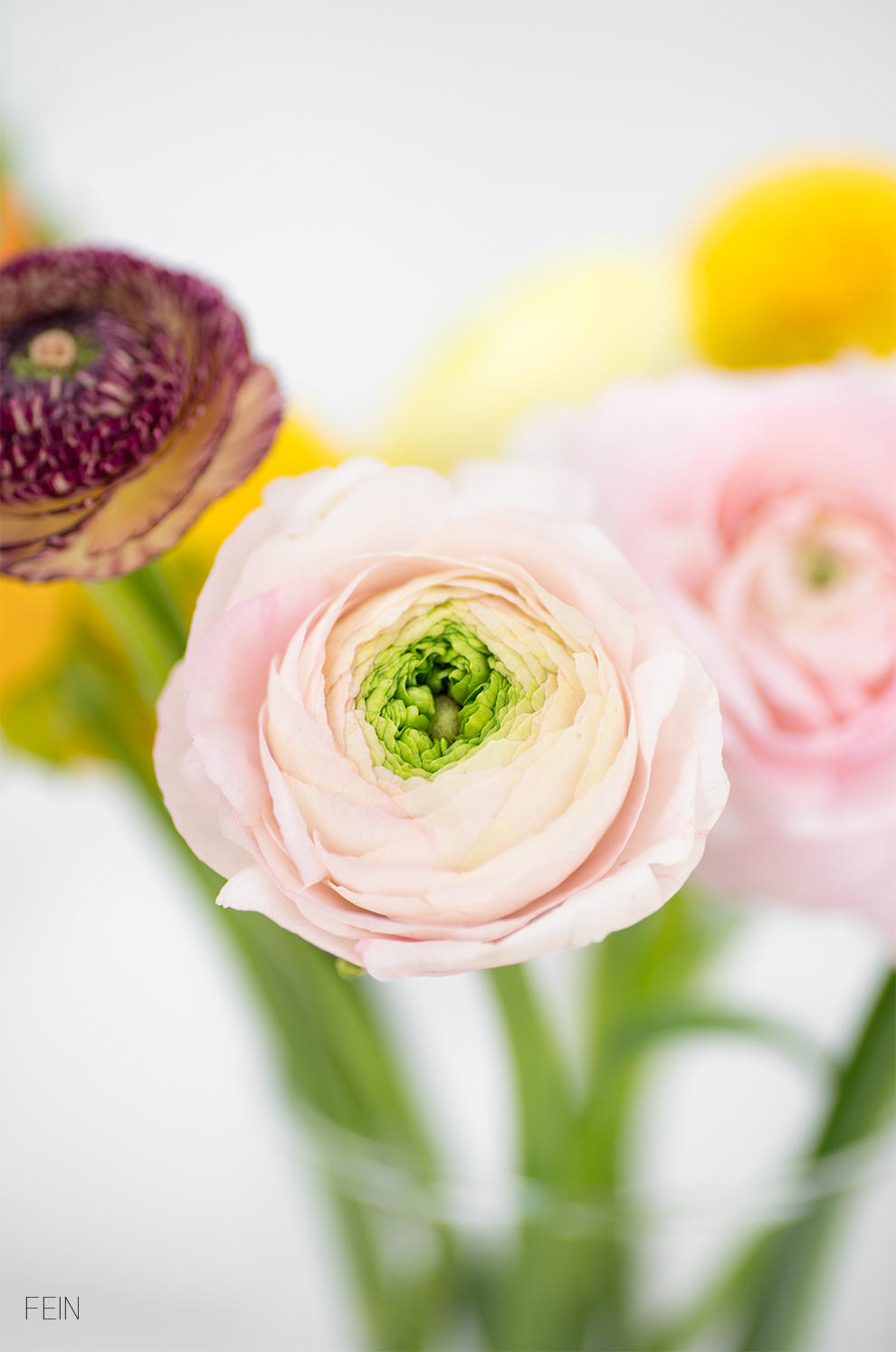 broste copenhagen frühling