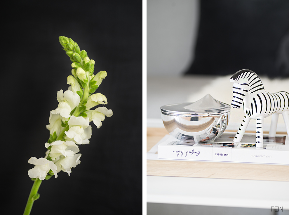 Schwarz weiße Einrichtung chrom