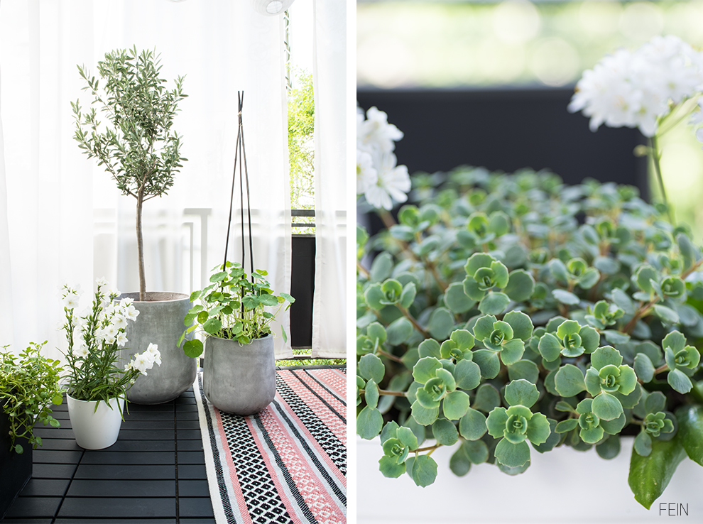 Balkonsaison blomus Pflanztöpfe