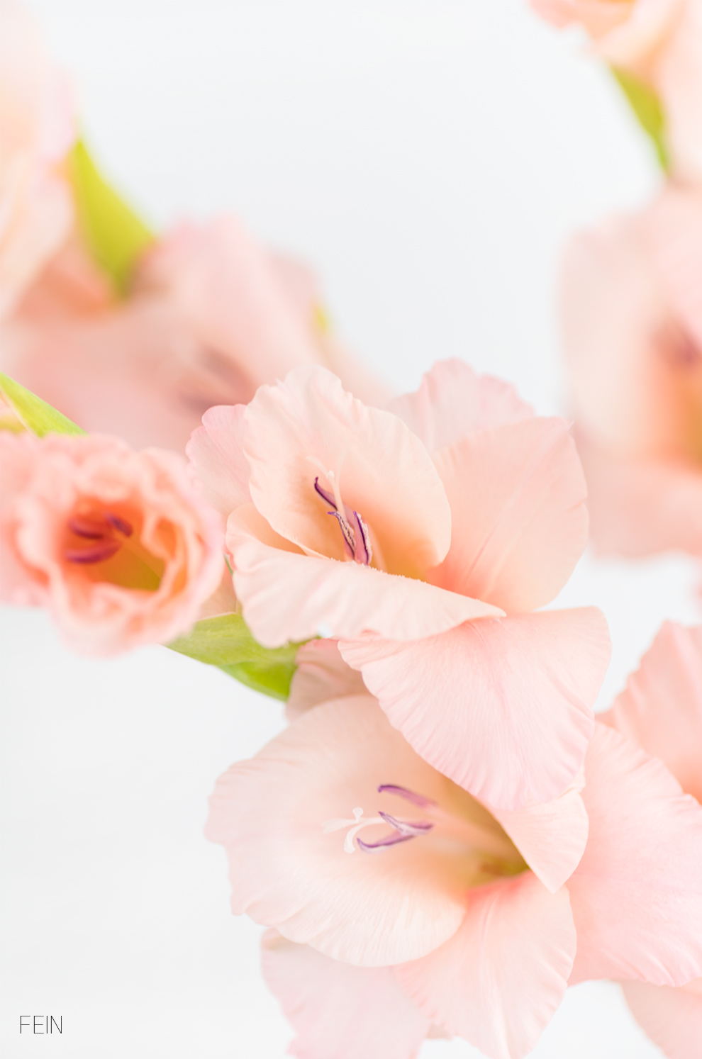 Bettwäsche Oskar Design