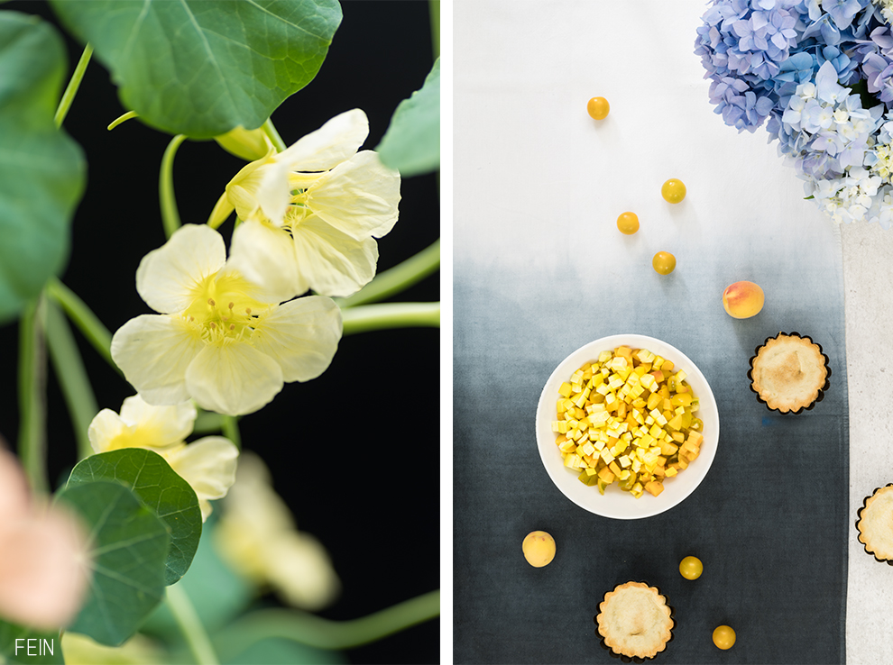 Sommerrezept Tomaten Törtchen