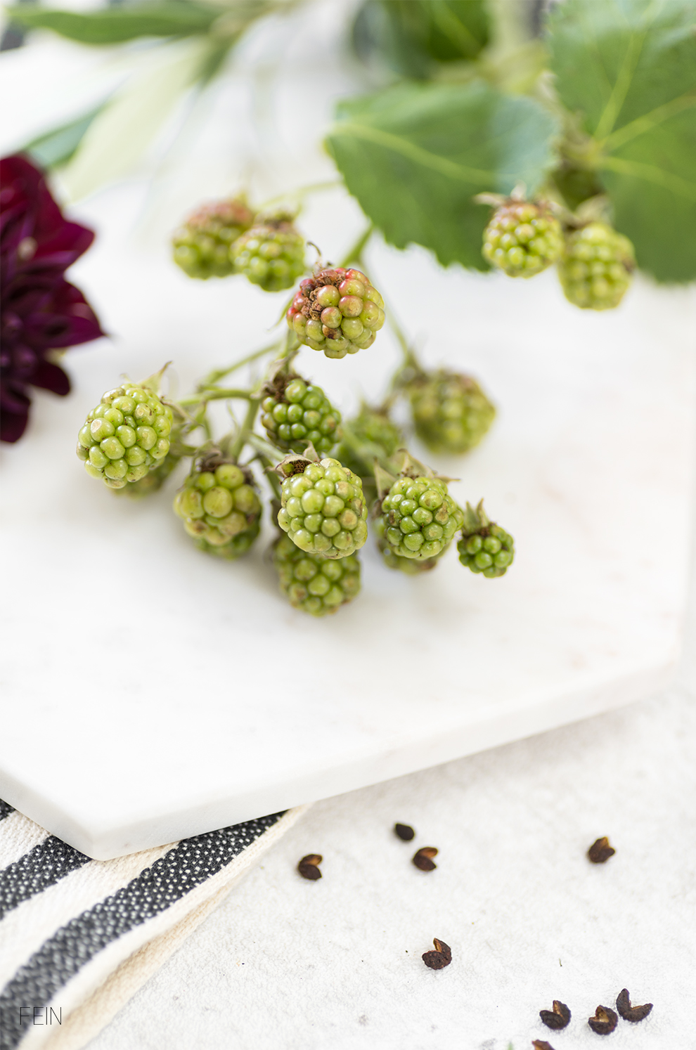 Rote Beete Dip Früchte Gemüse Spätsommer