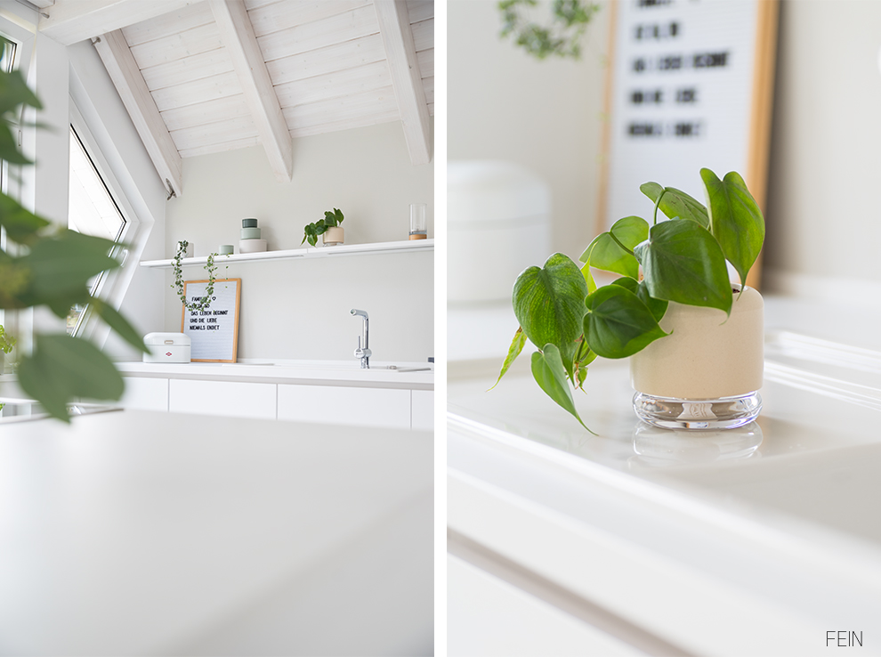 Pflanzen Zimmerpflanzen selbstbewässernd