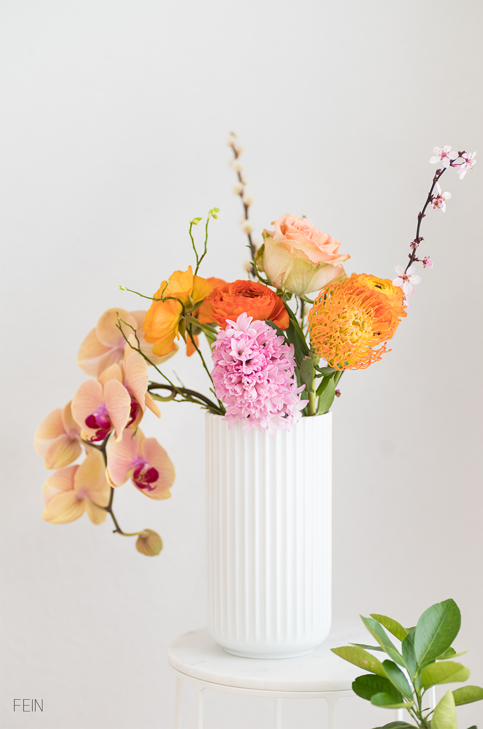 Farbenfroh Blüten Frühling