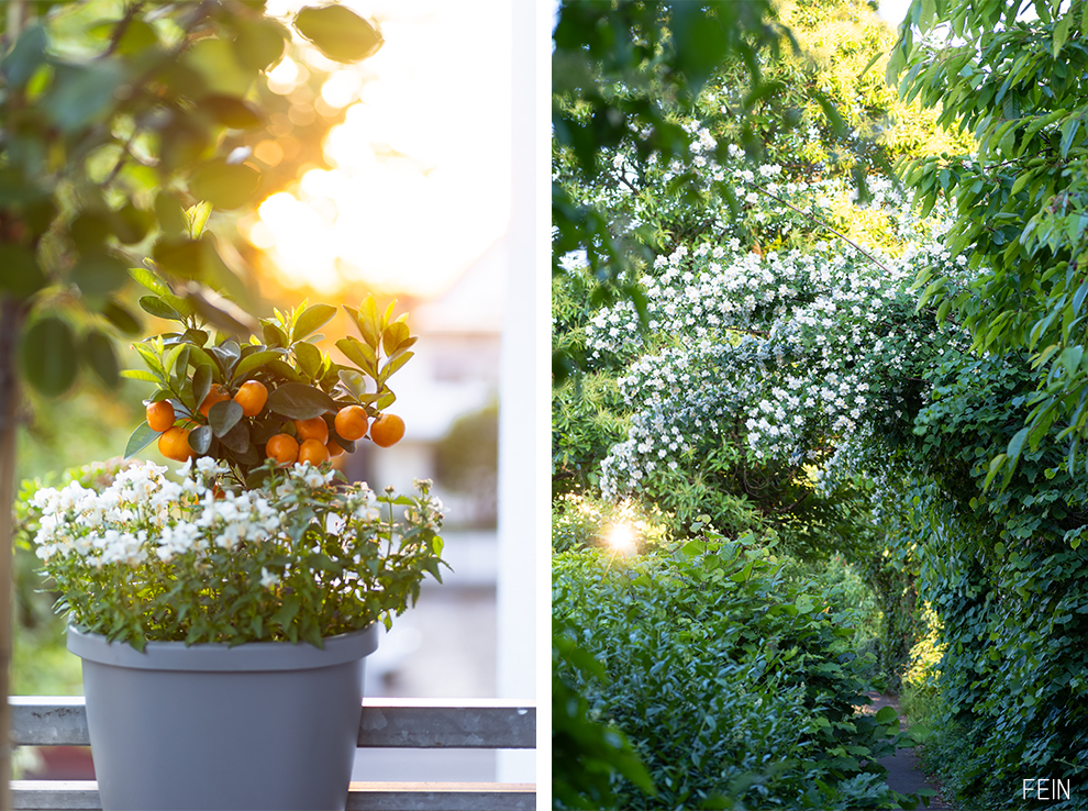 Zuhause genießen Natur