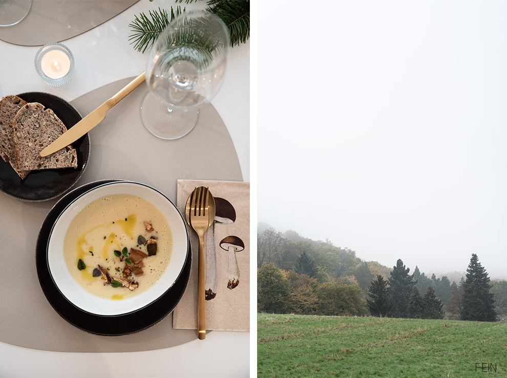 Steinpilzsuppe Pilze sammeln