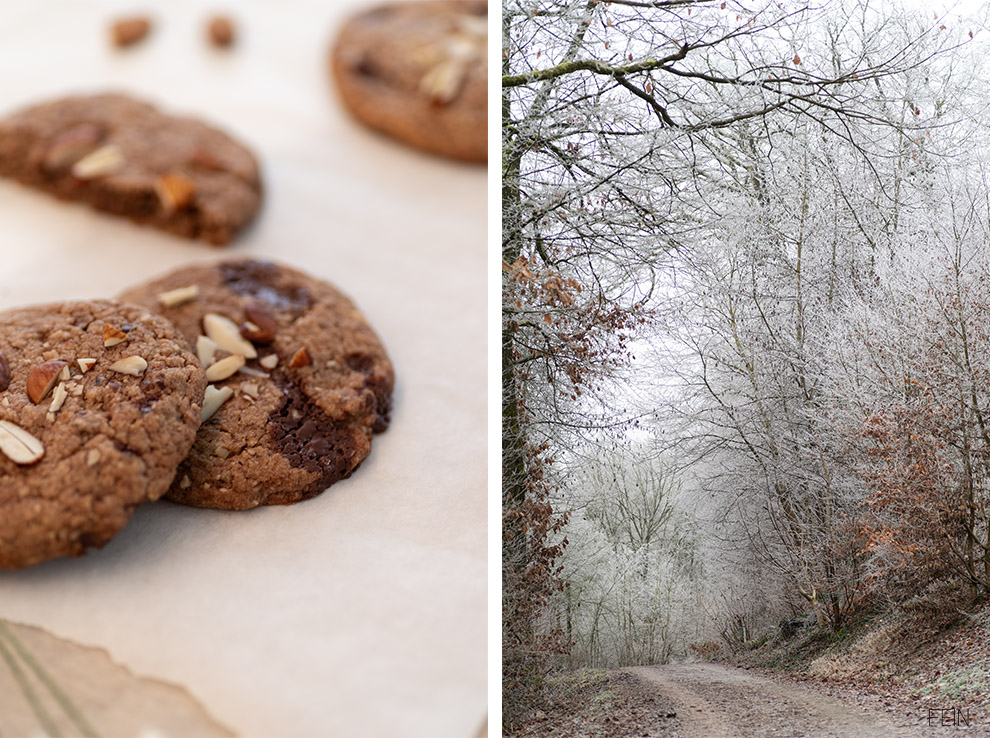 Cookies No Coffee