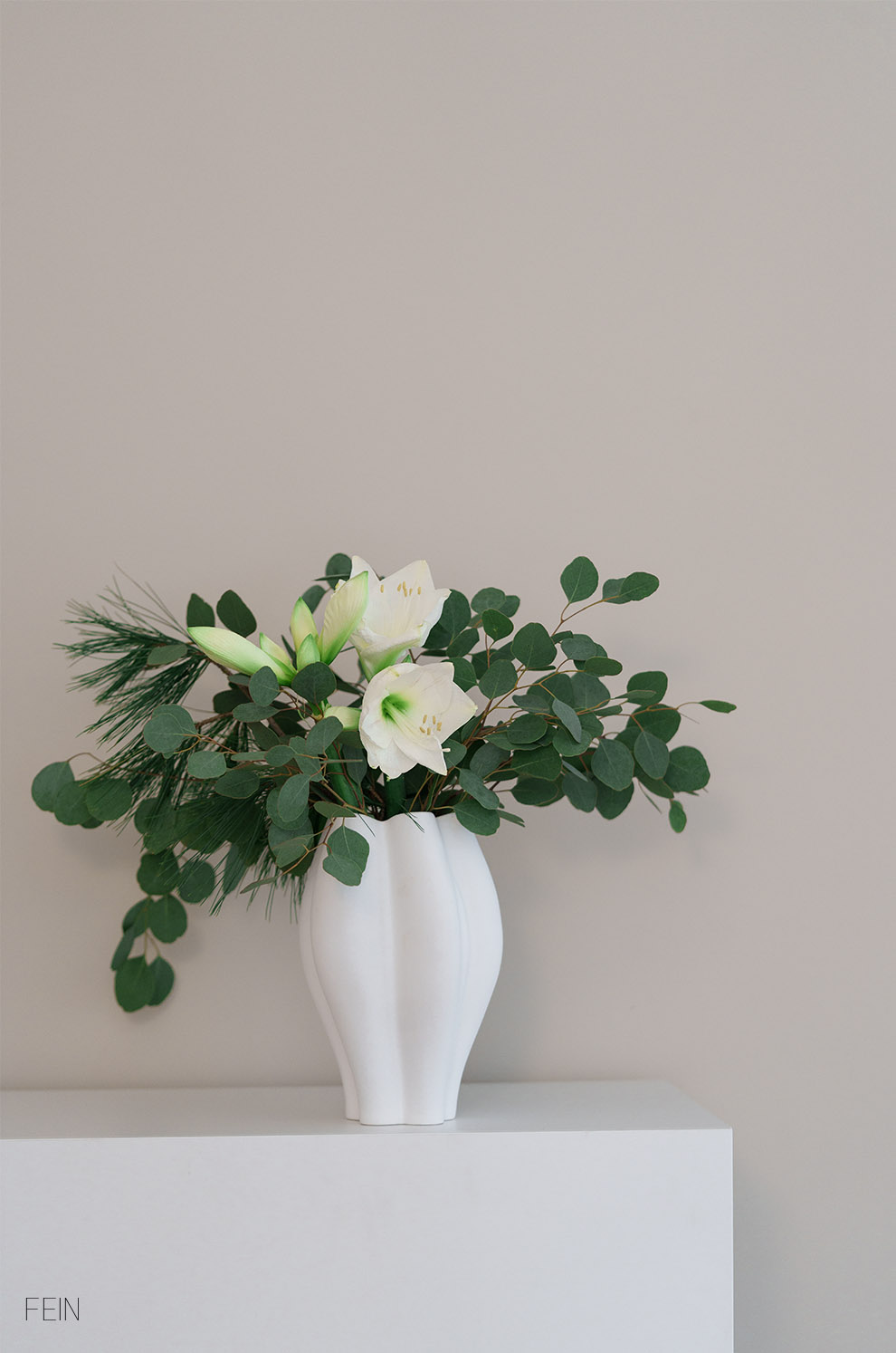 Winter 2025 Amaryllis