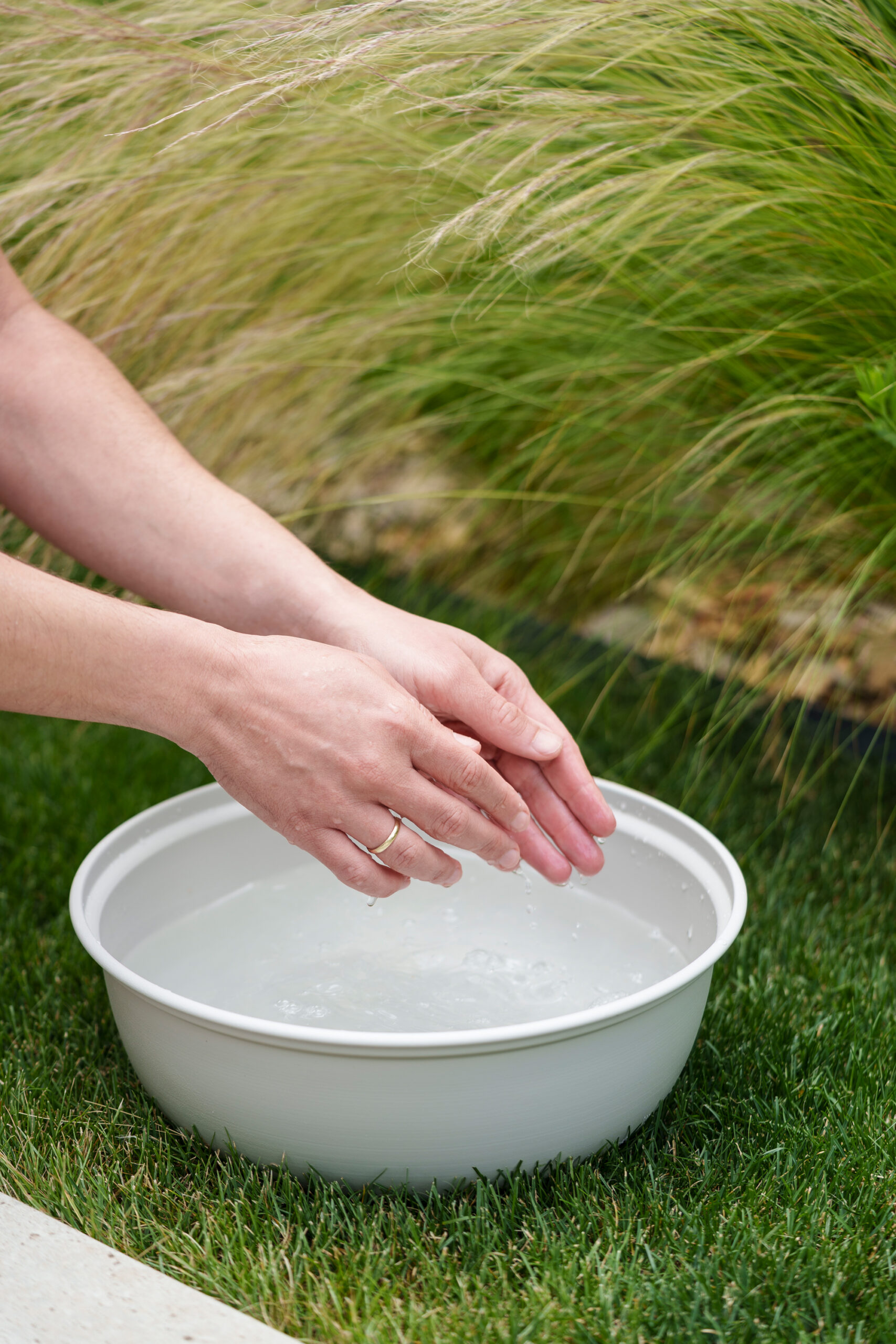 outdoor fotografie schale livlig