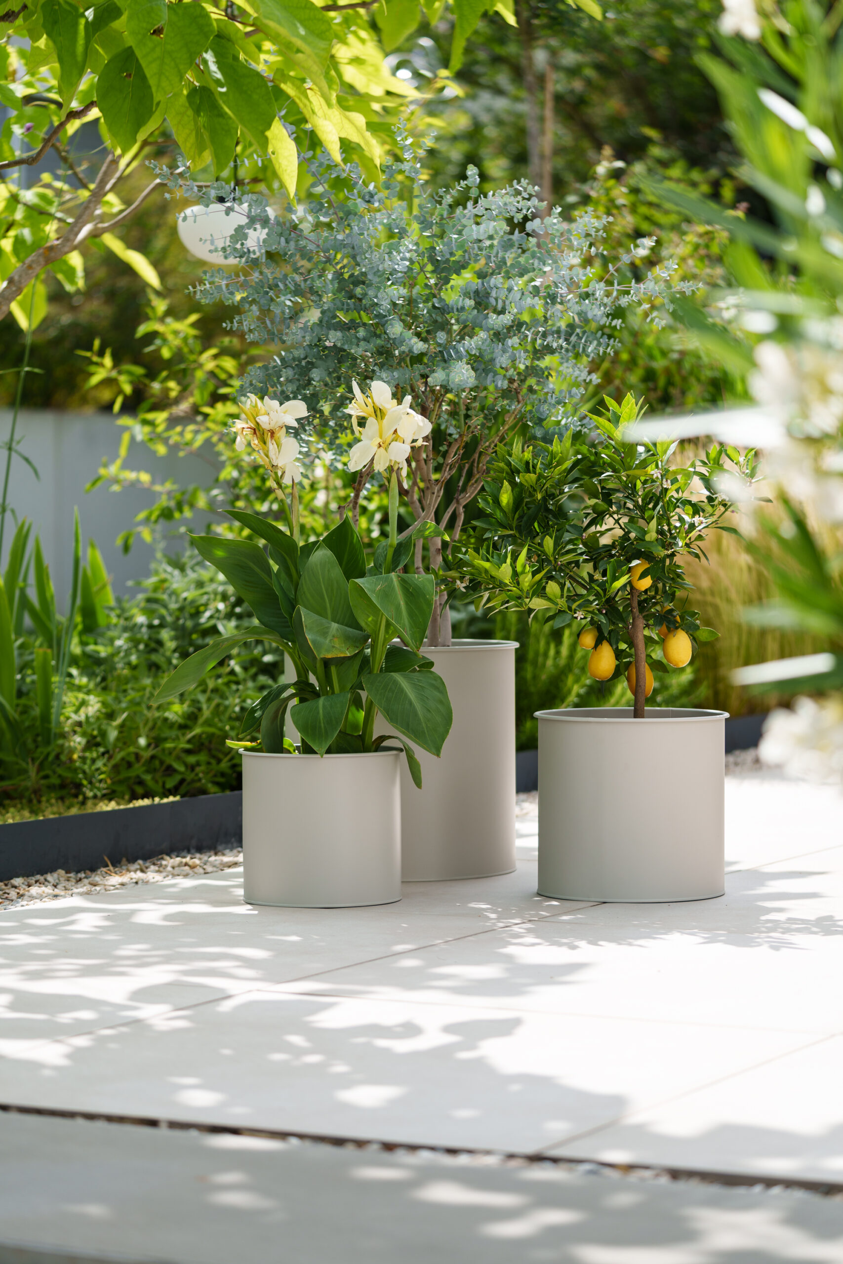 outdorr fotografie blumentöpfe livlig