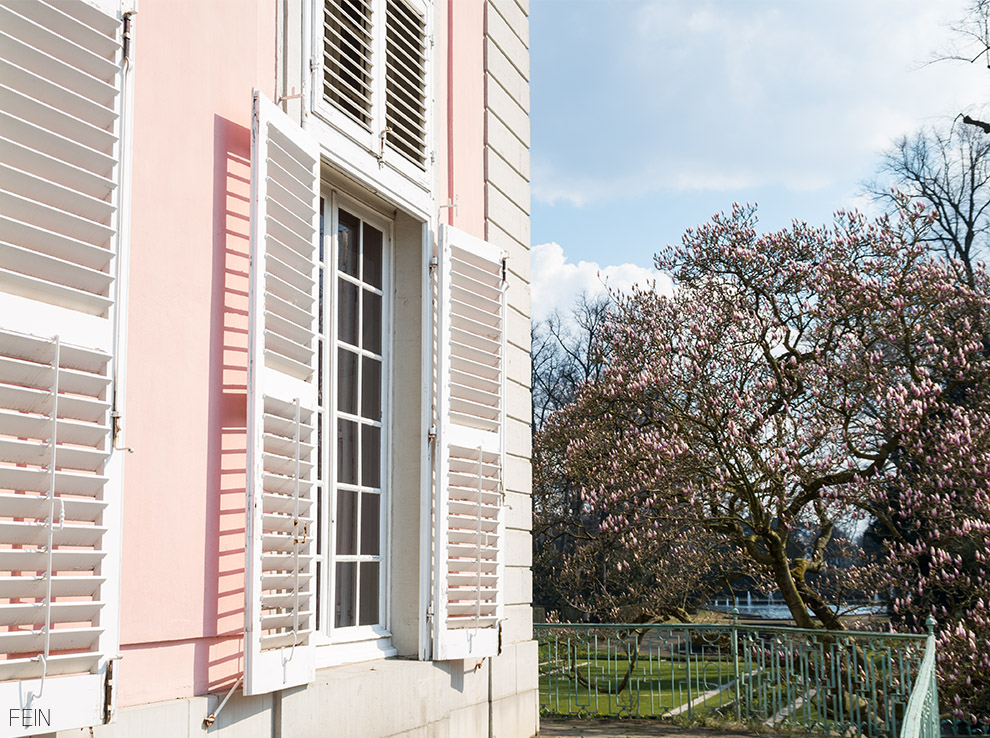 Düsseldorf Schloss Benrath Magnolien