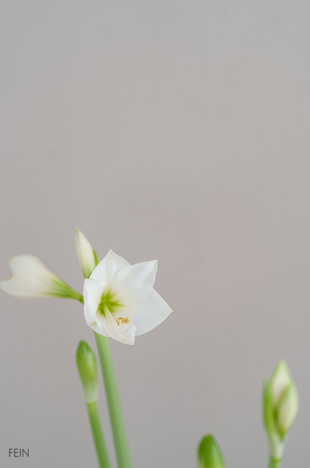 Interior Trends 2026 Empty Space