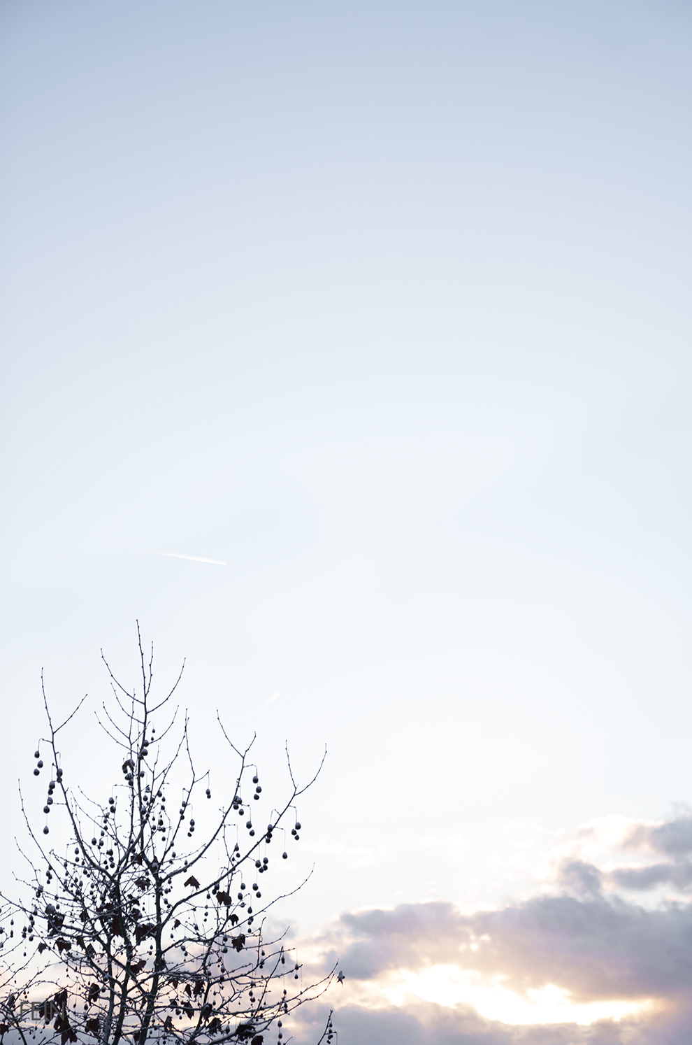 Sonnenaufgang im Winter Februar