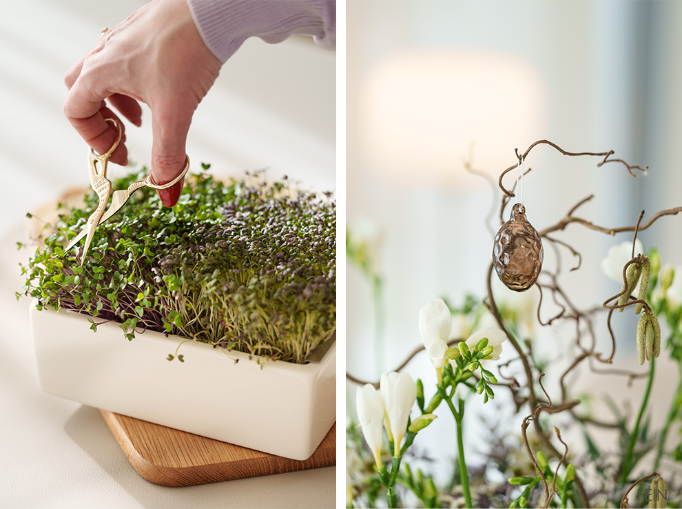 Osterbrunch Microgreens