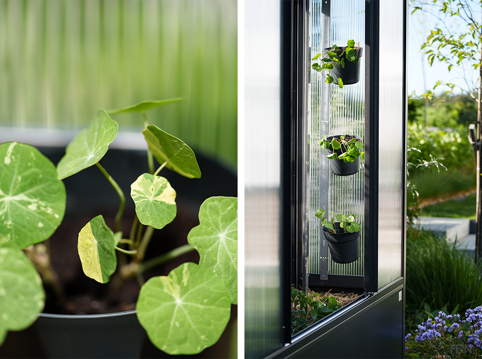 Biohort Florentina Zubehör Pflanztöpfe