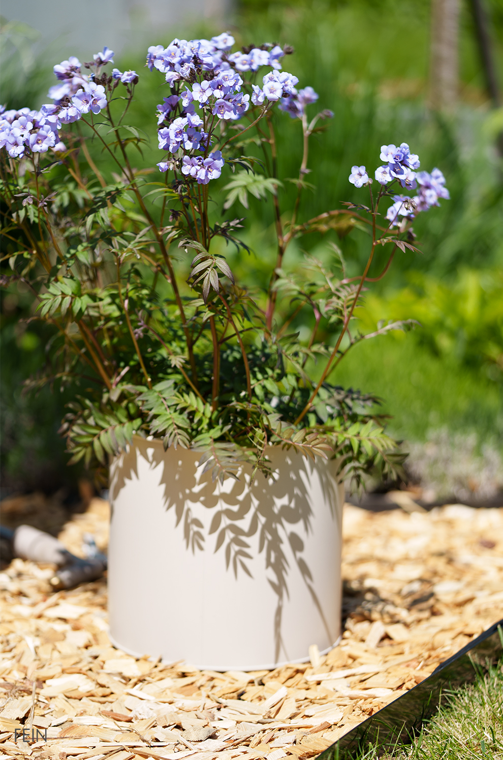 Biohort Pflanzen Garten