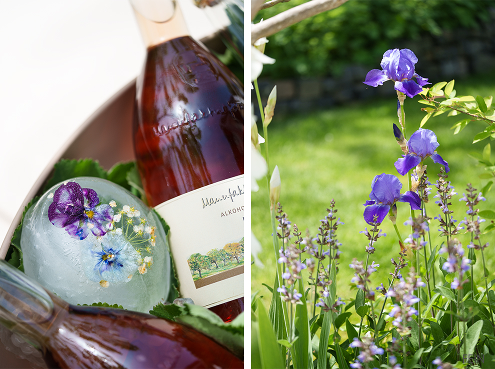 Sommer Rezepte Garten Eiswürfel Blumen