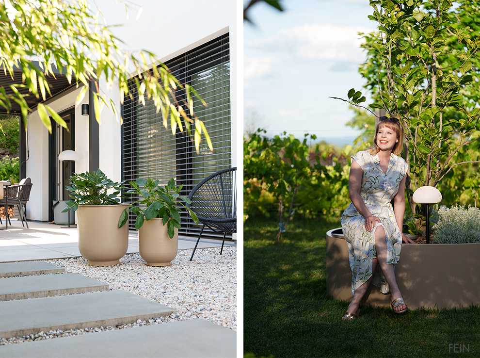 Moderne Gartengestaltung mit Magnolie im Pflanzring