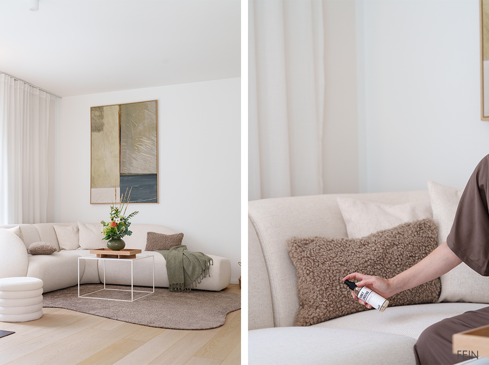 Sofa Pflege Fleckentferner